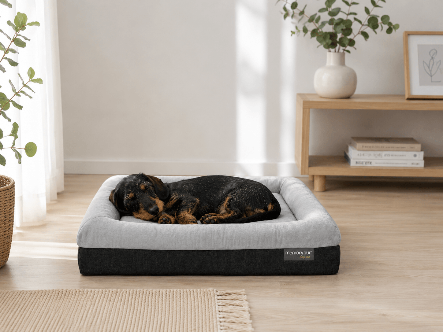 Paniers pour chiens