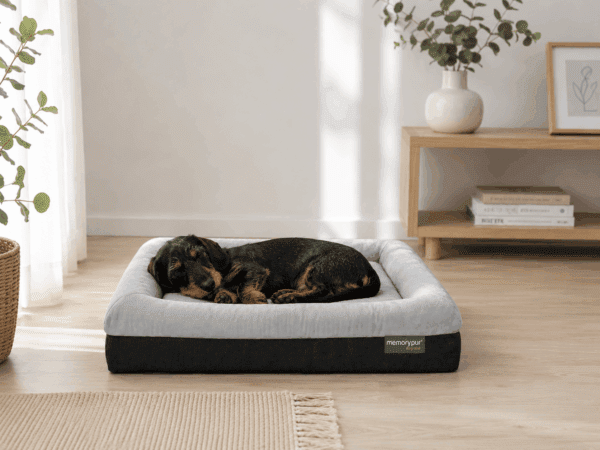 Paniers pour chiens